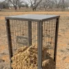 EZ Cotton Seed Feeder - Image 2